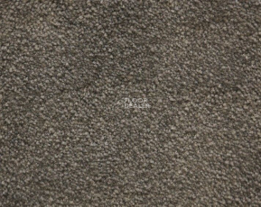 Radici Lord Lontra 324D фото 1 | FLOORDEALER